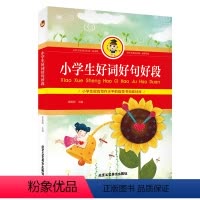 [正版]小学生好词好句好段 小学生课外阅读 彩图 小学生作文书日记起步 好词好句好段大全集小学生书籍一年级二年级