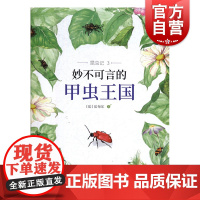 昆虫记3妙不可言的甲虫王国 阅读指导 科普/百科 少年儿童 世纪出版
