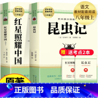 [全2册]昆虫记+红星照耀中国 [正版] 红星照耀中国和昆虫记法布尔完整无删减版八年级上册必读名原著初二初中语文经典文学