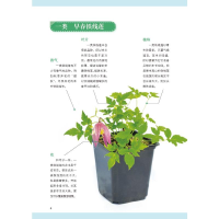 [M]月季栽培完全圣典-9787109267688