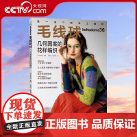 [央视网]毛线球36 几何图案的花样编织 不仅仅是服饰编织书 更是穿搭潮范儿指南HN