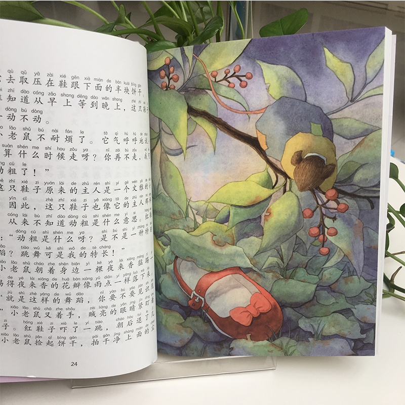 [M]蚕豆花儿-9787556097265