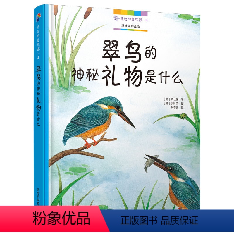 [正版]身边的自然课4:翠鸟的神秘礼物是什么大自然的十万个为什么小学生幼儿百科全书儿童科普百科书籍图鉴绘本故事书