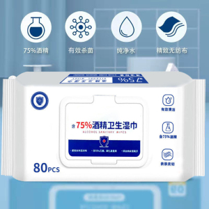 [补贴10%][160片/2包装]含75度酒精消毒湿巾办公家用卫生杀菌专用湿纸巾大包婴儿手口湿巾