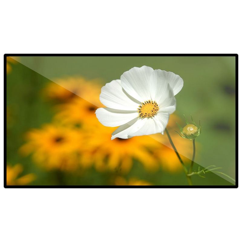 昌裕CY-CK-B1Y65 65寸WIN系统壁挂触摸广告机一体机