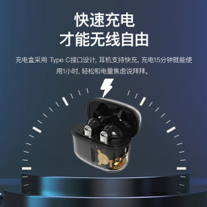 飞利浦 蓝牙5.3真无线蓝牙耳机降噪运动耳机TAT1168(单位:个)