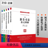 [正版] 5本套装 新公司法条文释解+适用与人民法院公布案例解读+诉讼实务指南+讲义+重点热点问题解读