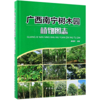 音像广西南宁树木园植物图志(精)施福军