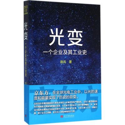 光变:一个企业及其工业史