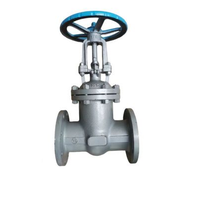 晟宏德 铸钢法兰闸阀 DN125 个