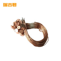 瑞吉君 纽扣熔丝 10A 根