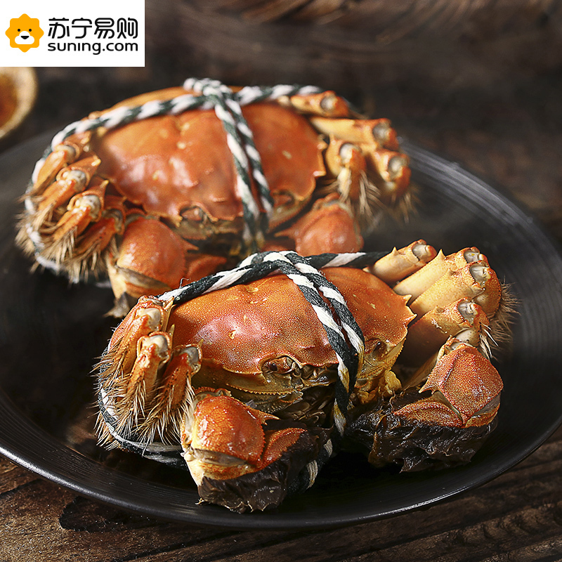 金世尊大闸蟹888型