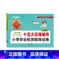 [十五大城市]数学 小学通用 [正版]新版王朝霞五大十大十五大城市卷小学毕业检测指导试卷精选考试语文数学英语六年级小升初