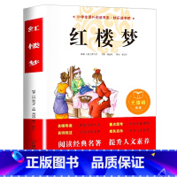 红楼梦 [正版]四大名着原着小学生版 五年级下册课外书必读小学生阅读书籍书目青少年版本 适合看的儿童读物西游记水浒传红楼