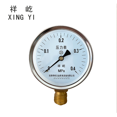 祥屹 压力表检测型 Y60 块
