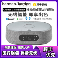 哈曼卡顿 CITATION OASIS 灰色FM 音乐绿洲 人工智能音箱 带收音机和无线充电 支持Wi-Fi