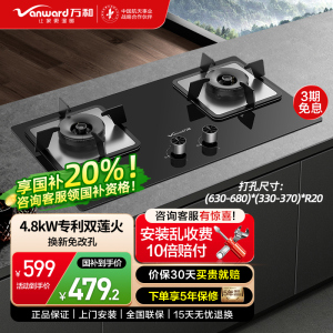 万和燃气灶4.8kW大火力玻璃嵌入式台式两用灶具 易清洁灶具JZY-B9L50(液化气)