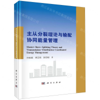 [M]主从分裂理论与输配协同能量管理(精)-9787030638311