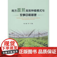 南方蔬菜高效种植模式与农事日程管理