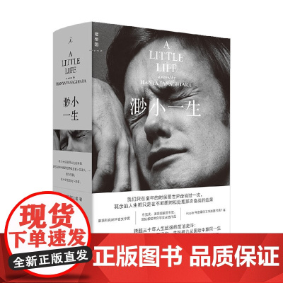 渺小一生 柳原汉雅 著 小说