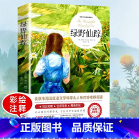 绿野仙踪 [正版]绿山墙的安妮原著全集蒙哥马利原著小学生三四五六年级阅读必读课外书上下册青少年儿童文学经典书籍绿野仙踪世