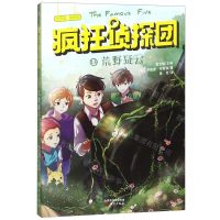 [N]疯狂侦探团(有声版插图版13荒野疑云)-9787520709378