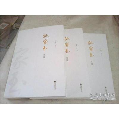 正版新书]孙家玉文集:上中下 全3册孙家玉著9787559430670