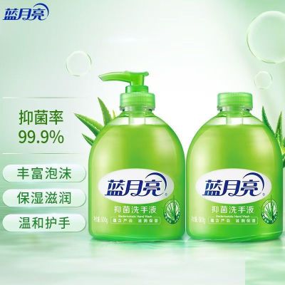 蓝月亮洗手液 芦荟味 500g/瓶 2瓶