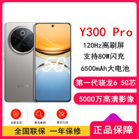 vivo Y300 Pro 钛色 8GB+256GB 骁龙6 5G芯 6500mAh电池 80W充电 5000万高清影像 5G 手机