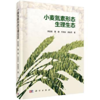 音像小麦氮素形态生理生态李友军 等著