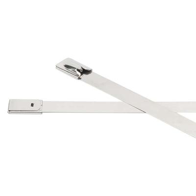 万梓 不锈钢扎带 12*500mm 根