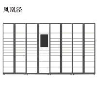 凤凰泾智能快递柜小区快递自提柜派件柜室外寄存柜信报箱储物柜一主三副83格