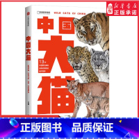 [正版]中国大猫吕植著荣获2022年中国好书奖虎雪豹兔狲荒漠猫等13种中国猫科动物全纪录科学有趣的科普笔记动物科普书店