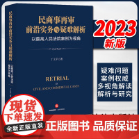 2023新书民商事再审前沿实务与疑难解析:以最高人民法院案例为视角 丁义平著 法律出版社