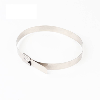 万梓 不锈钢扎带 10*1200mm 根