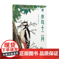 魔法象 故事森林 小书房 小鸟十二月 6-9岁 徐鲁 著 儿童文学