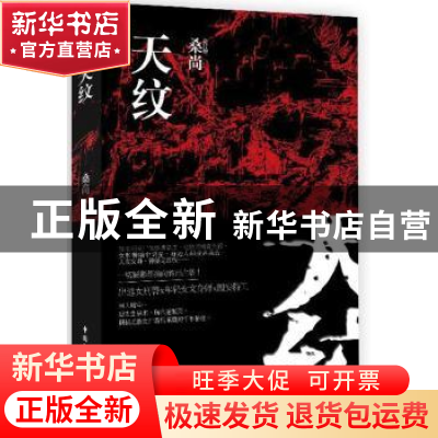正版 天纹:史上最惊险女刑警办案手记 桑尚著 中国民主法制出版社