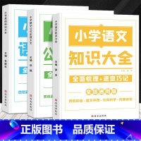 [3册]语文知识+数学公式+英语语法 小学通用 [正版]小学基础知识手册语文数学英语知识大全英语语法数学公式定律理及考点