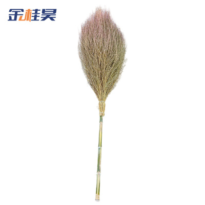 金桂昊 大扫把 2.8斤 把