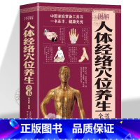 [正版] 图解人体经络穴位养生全书 穴位图刮痧拔罐疗法黄帝内经四季养生全书 经络腧穴学疏通经络按摩技巧教程经络穴位养生
