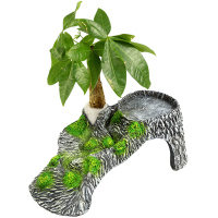 养龟用具 乌龟水龟晒背台 巴西龟龟爬坡浮台 吸盘摆放两用晒台