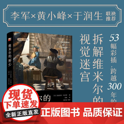 维米尔的 野心 达尼埃尔·阿拉斯 著 艺术史