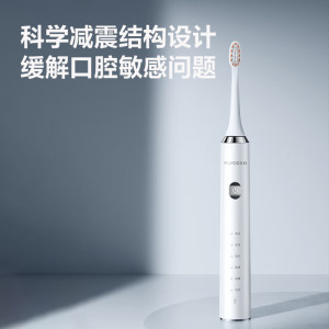 飞科(FLYCO)电动牙刷智能蓝牙家用男女款声波震动无线充电式杜邦软毛 FT7205 皓月白
