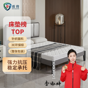 盾将 弹簧3E椰棕床垫 DJ-468S-CD022
