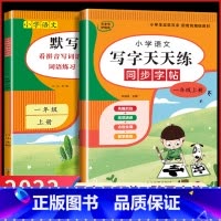 2册:语文默写全能+语文写字天天练 一年级上 [正版]一年级上册同步练习册 小学语文默写全能手同步人教版 看拼音写词语生