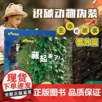 生命的故事系列:藏起来了(全2册)儿童少儿动物昆虫百科全书科学与娱乐兼顾,语言严谨且童趣符合3~6岁孩子的认知方式
