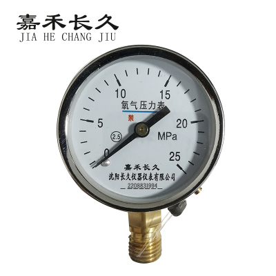 嘉禾长久/氧气压力表/YO60 0-25Mpa /个