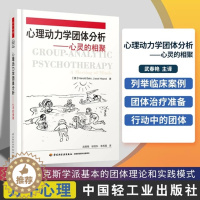 [醉染正版]正版 心理动力学团体分析—心灵的相聚 万千心理 手把手教你如何带领心理动力学团体书籍 团体分析实践 临床