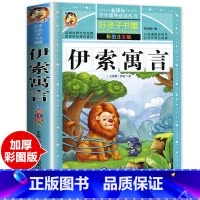 伊索寓言加厚注音版 [正版]安徒生童话全集注音版一二三年级一千零一夜格林童话伊索寓言