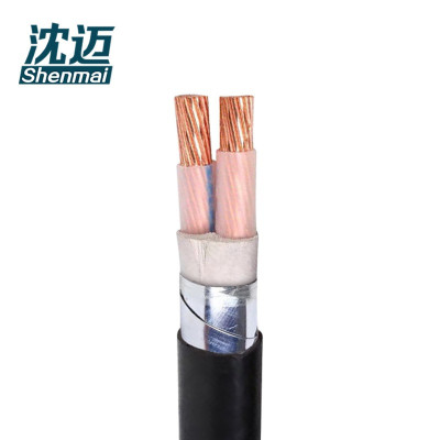 沈迈 铜芯电缆 WDZ-YJY23-2*10mm² /米